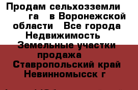 Продам сельхозземли ( 6 000 га ) в Воронежской области - Все города Недвижимость » Земельные участки продажа   . Ставропольский край,Невинномысск г.